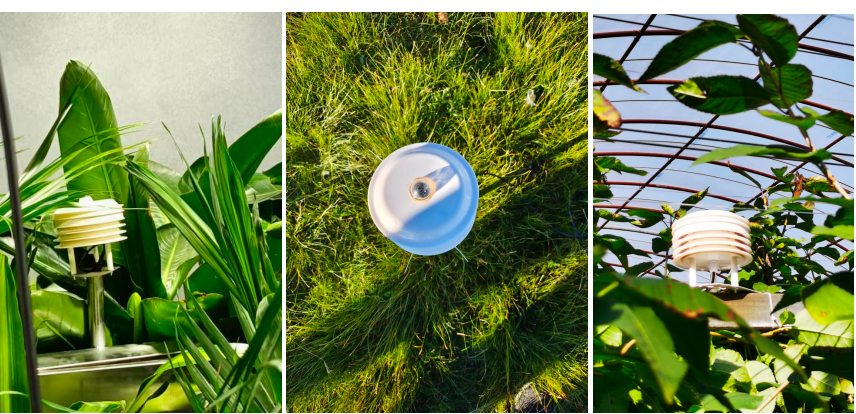 作物病虫害智能识别