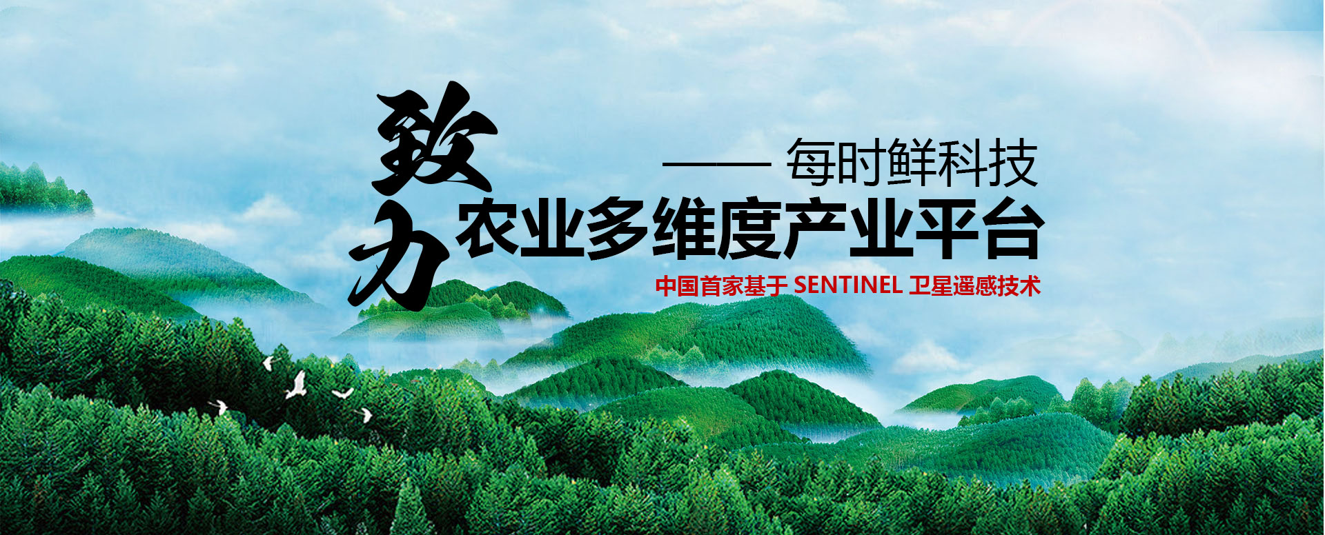 人参全产业链解决方案