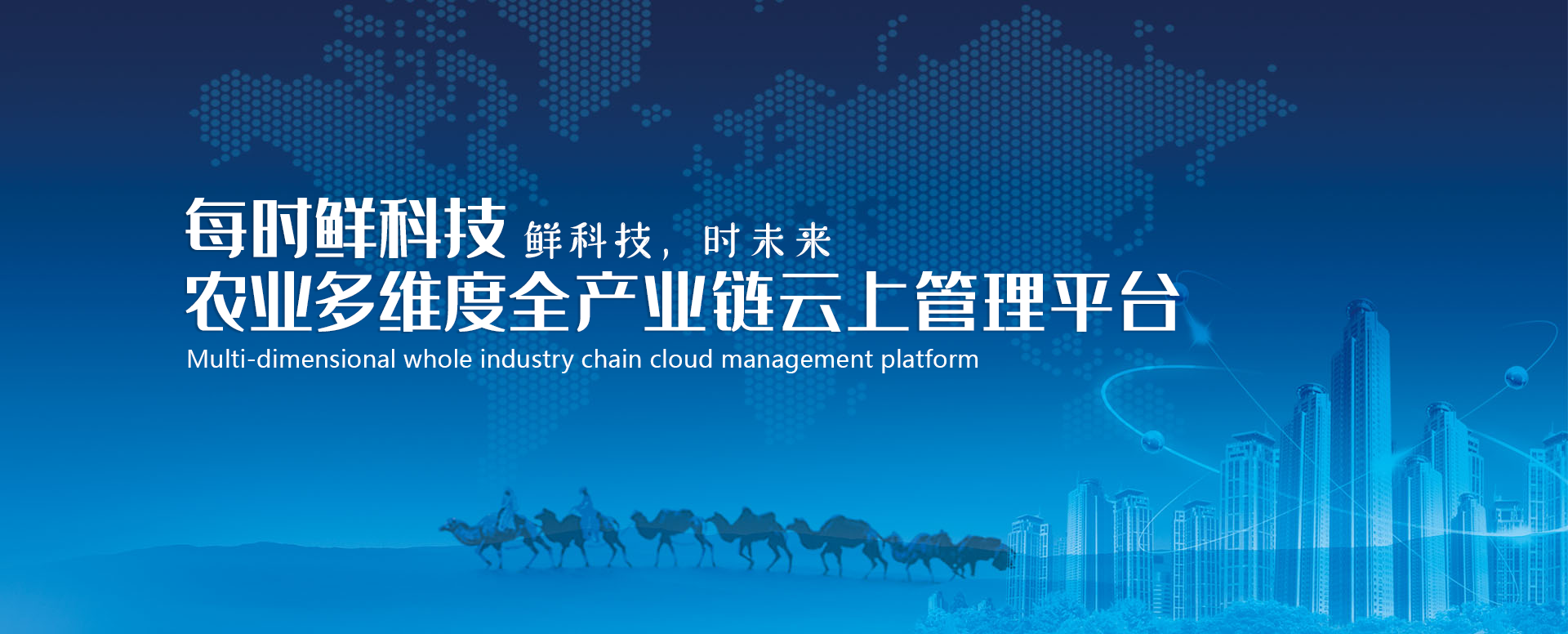 林下鸡生态养殖